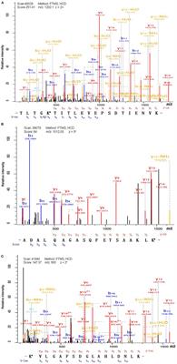 Quantitative Analysis of Ubiquitinated Proteins in Human Pituitary and Pituitary Adenoma Tissues